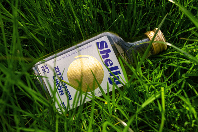 Shelly Gras